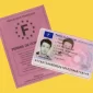 permis nouveau gratuit 1200x668 1 85x85
